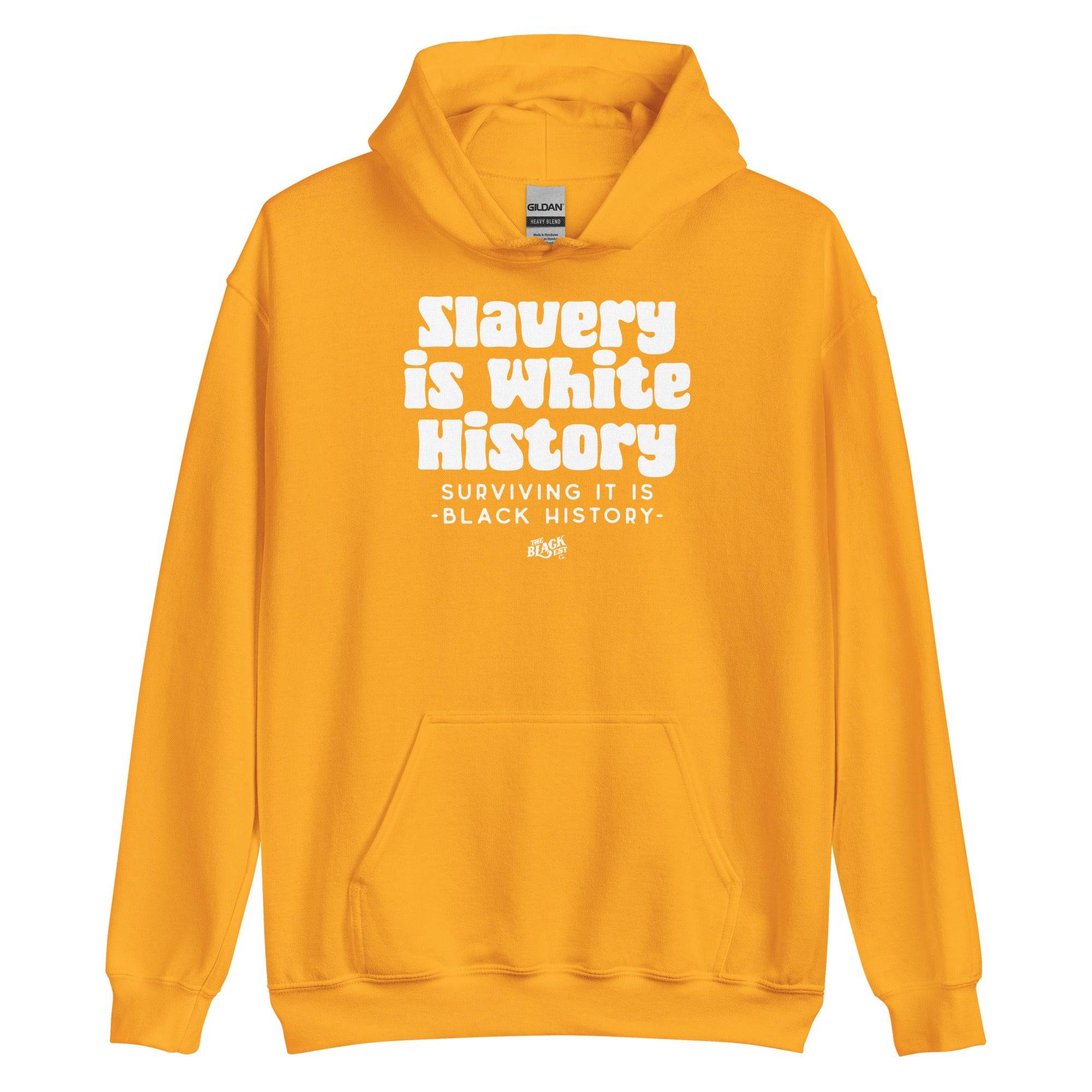 Slavery Is White History Hoodie - ALLY VERSION | by TheBlackest Co. - Image 8